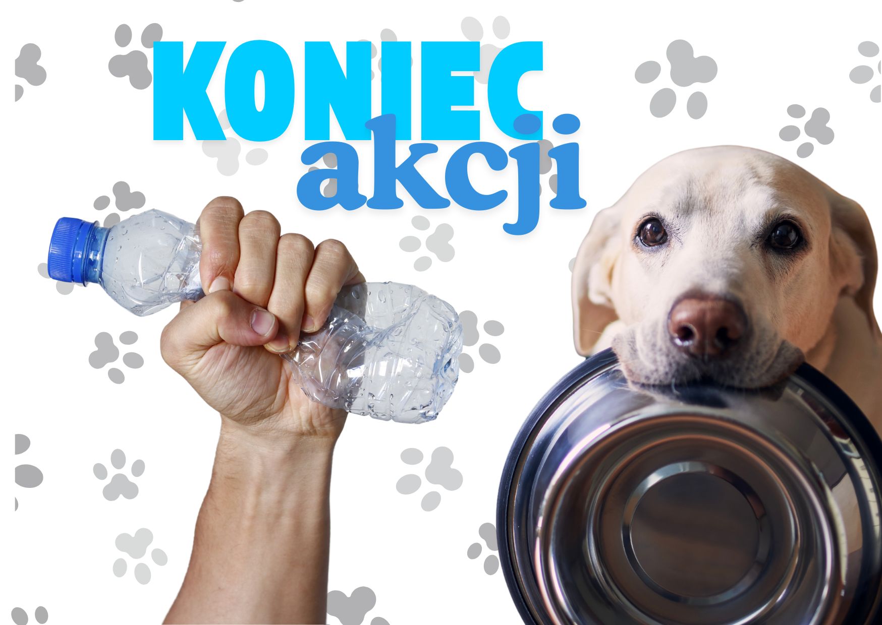 Kolorowa grafika przedstawiająca rękę, która zgniata plastikową butelkę, a także psa, który trzyma w zębach metalową miskę.