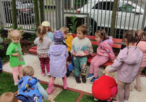 Zdjęcie 5 na 21