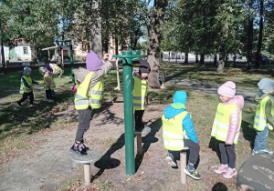 Przedszkolaki korzystają z urządzeń na siłowni w parku akeksandrowskim.