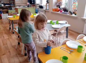 Plan daltoński u Motylków