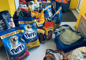 Zebrana karma i artykuły dla schroniska dla zwierząt.