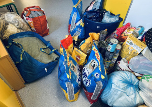 Zebrana karma i artykuły dla schroniska dla zwierząt.