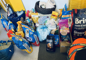 Zebrana karma i artykuły dla schroniska dla zwierząt.