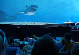 Przedszkolaki podziwiają film, wyświetlany na powierzchni sferycznej kopuły.