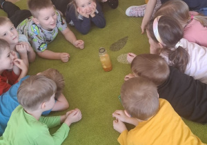 Dzieci leżą na dywanie i obserwują eksperyment.