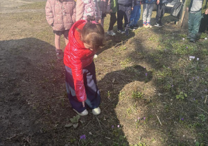 Dziewczynka pokazuje kwiaty, które rozpoznała na ilustracji.