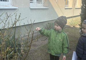 Dzieci wypatrują w ogrodzie pierwszych roślin