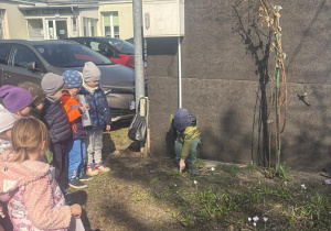 Dzieci wypatrują w ogrodzie pierwszych roślin.
