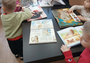 Dzieci oglądają obrazki w książkach