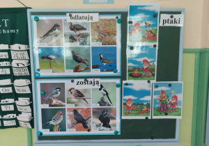 Tablicza z ilustracjami ptaków i historyjką obrazkową.