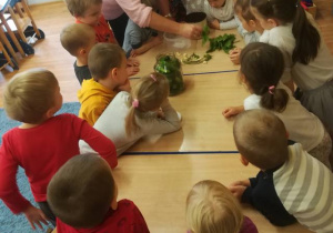 Dzieci zgromadzone wokół stołu nauczycielka pokazuje im pozostałe składniki potrzebne do zakiszenia ogórków – chrzan, czosnek i koper