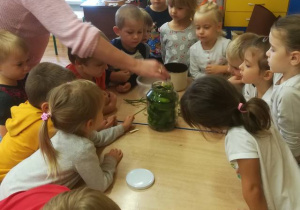 Dzieci zgromadzone wokół stołu nauczycielka wkłada do słoika ząbek czosnku