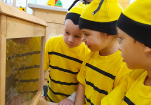 Troje dzieci stoi przed ulem i ogląda pszczoły.