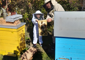 Chłopiec trzyma ramkę z pszczołami i wyprodukowanym miodem.