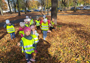 Grupa dzieci na wycieczce w parku zbiera kolorowe liście