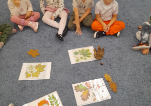 Dzieci siedząc na dywanie w sali próbują połączyć liść z jego owocem