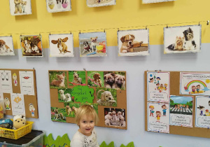Dziewczynka na tle gazetki ze zdjęciami psów.