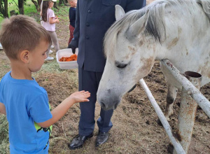 Chłopiec karmiący konia marchewką.