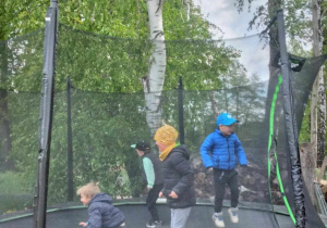 Czterech chłopców skacze na trampolinie.