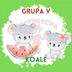 Nazwa grupy V - "Koale" i dwa misie "Koala"